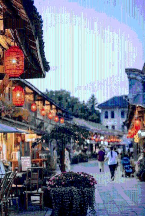 海龟中体型最大的海龟是什么-问答类网站,精准解答你的问题